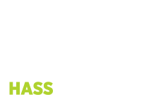 Avocados